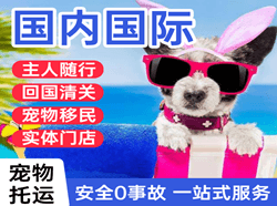 拉萨机场邮寄国际宠物托运 【国